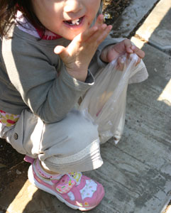 IMG_5266.jpg