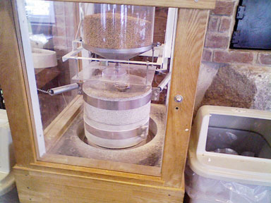 NEC_0248.jpg