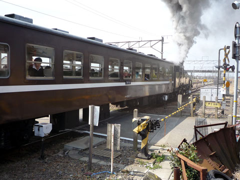 P1000157.jpg