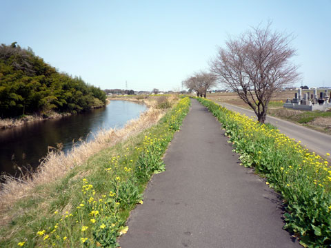 P1000165.jpg