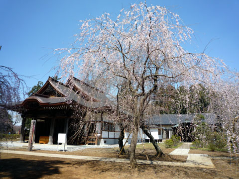 P1000279.jpg