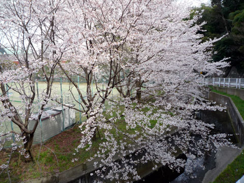 P1000367.jpg