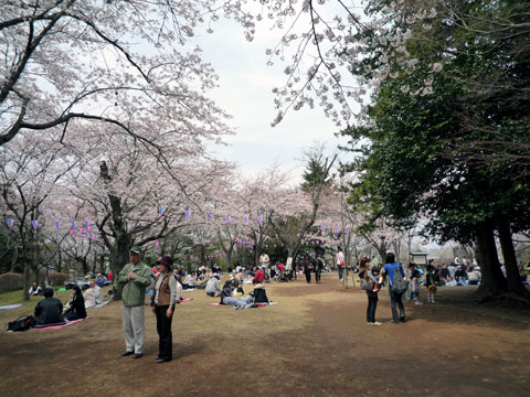 P1000377.jpg