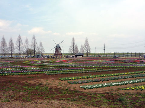 P1000403.jpg