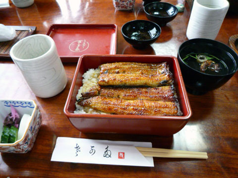 P1000473.jpg