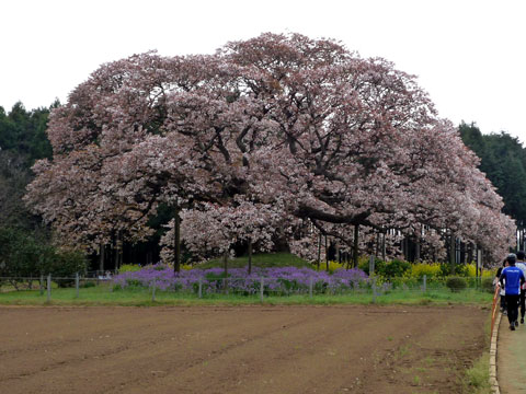 P1000480.jpg