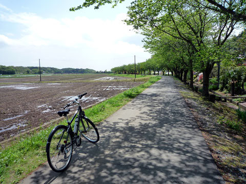 P1000618.jpg