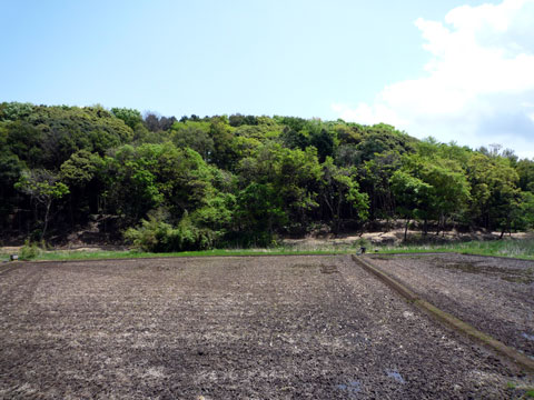 P1000628.jpg