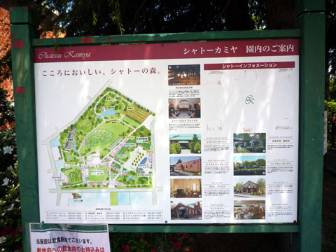 P1000631.jpg