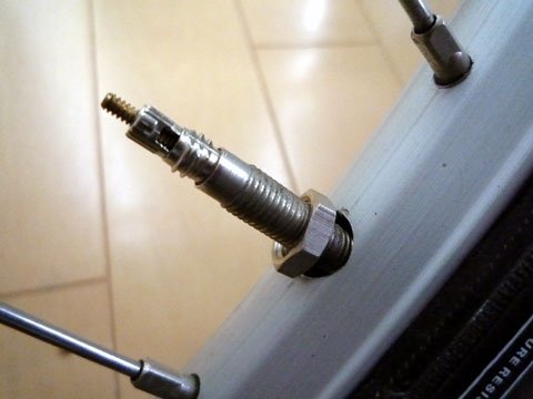 P1000738.jpg