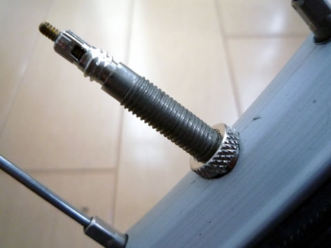P1000740.jpg