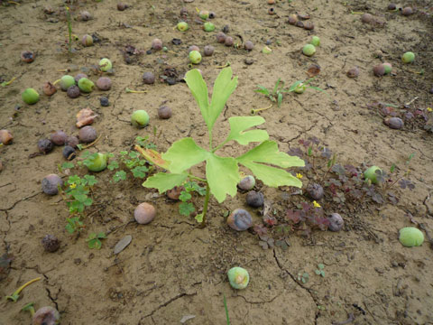 P1010163.jpg