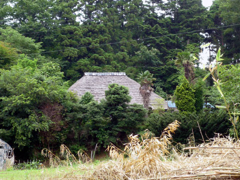 P1010166.jpg