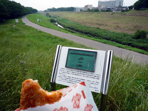 P1010201.jpg