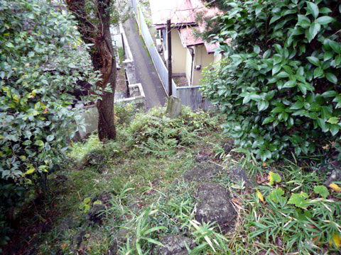 P1020276.jpg