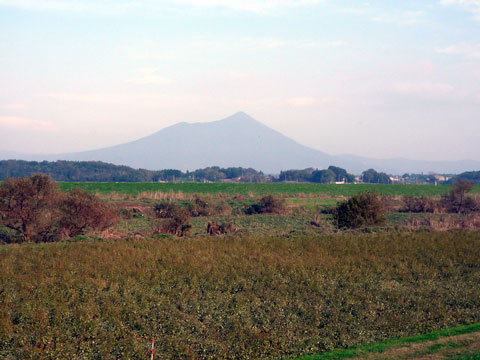 P1020324.jpg