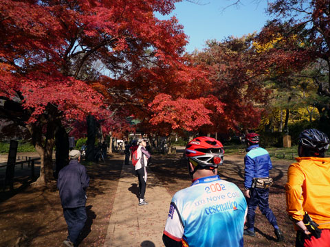 P1020501.jpg