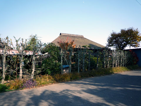 P1020520.jpg