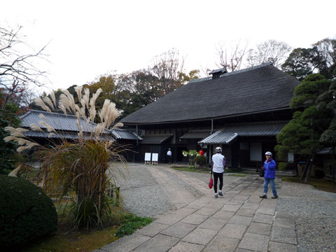 P1020533.jpg
