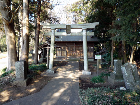 P1020992.jpg