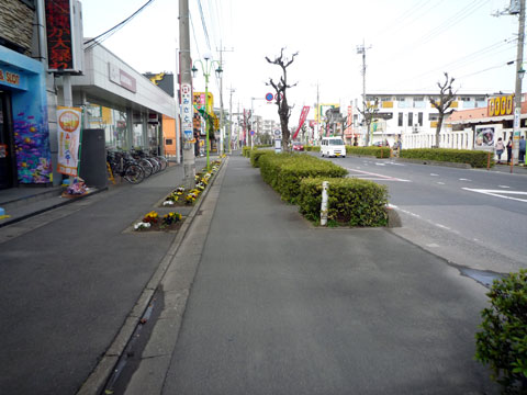 P1030295.jpg