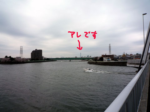 P1030386.jpg