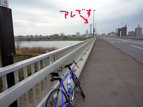 P1030392.jpg
