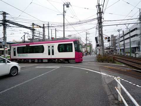 P1030447.jpg
