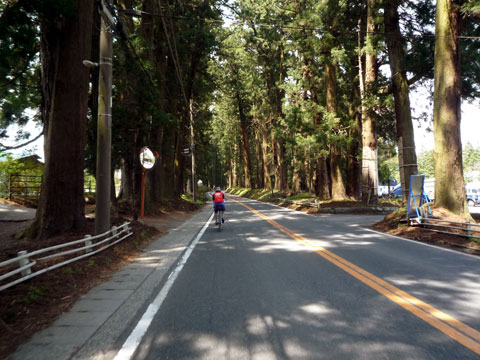 P1030627.jpg