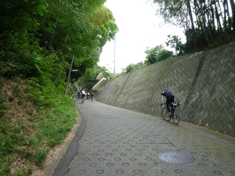 P1030885.jpg