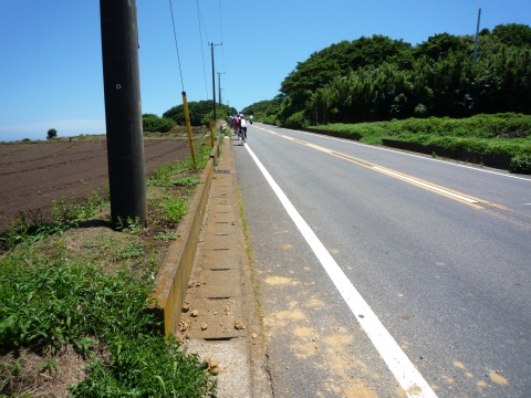P1030946.jpg