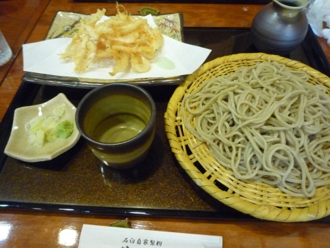 P1040638.jpg