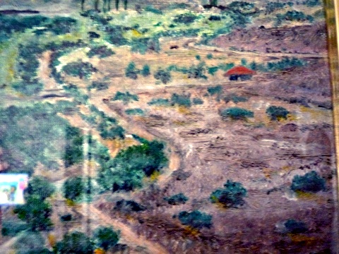 P1050231.jpg
