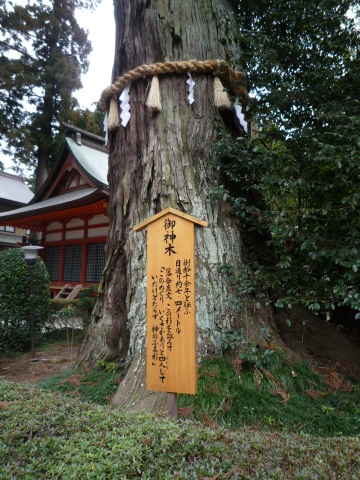 P1050413.jpg
