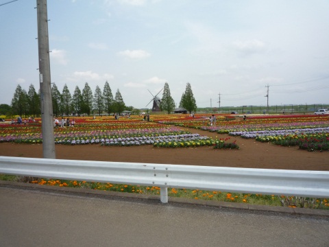 P1050424.jpg