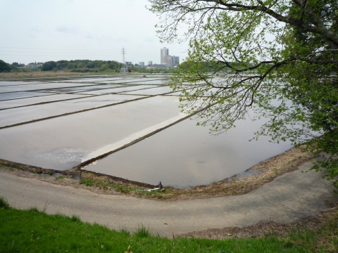 P1050425.jpg
