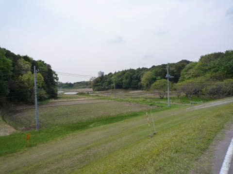 P1050429.jpg