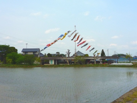 P1050433.jpg