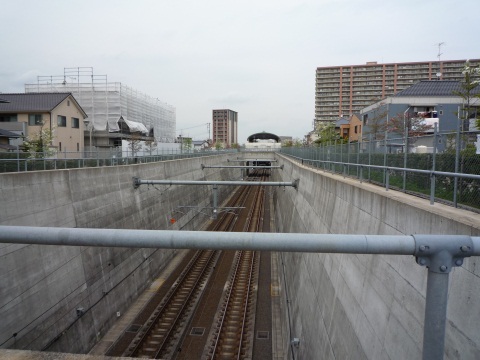 P1050444.jpg