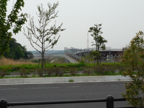 P1050447.jpg