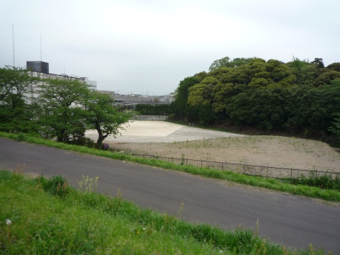 P1050527.jpg