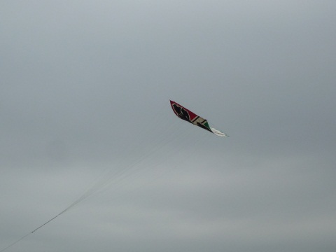 P1050562.jpg