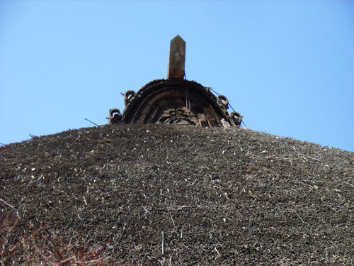 R0017247.jpg