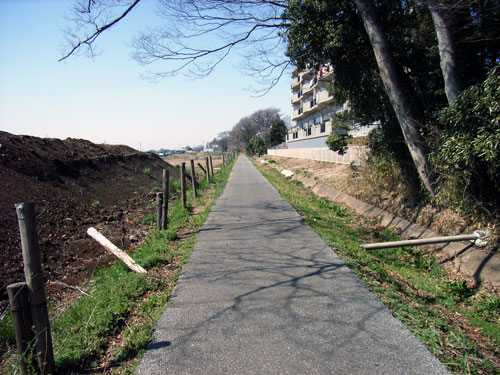 R0017349.jpg