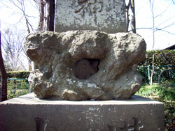 R0017356.jpg