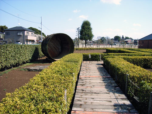 R0017363.jpg