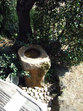 R0017610.jpg