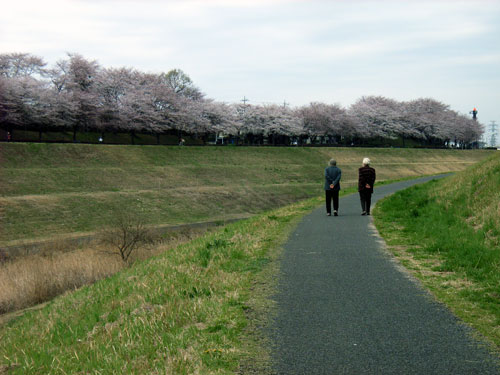 R0017642.jpg