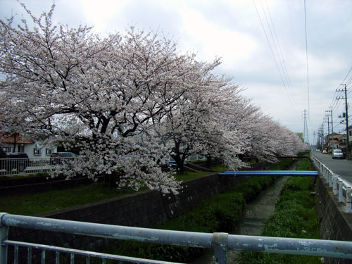 R0017664.jpg