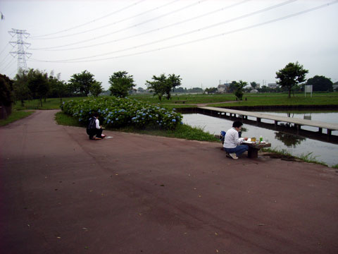 R0018450.jpg